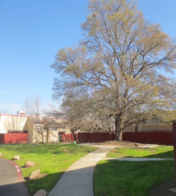 American River Gardens Apartments in Sacramento, CA