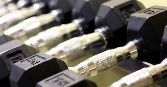 A row of black dumbbells are lined up on a rack.