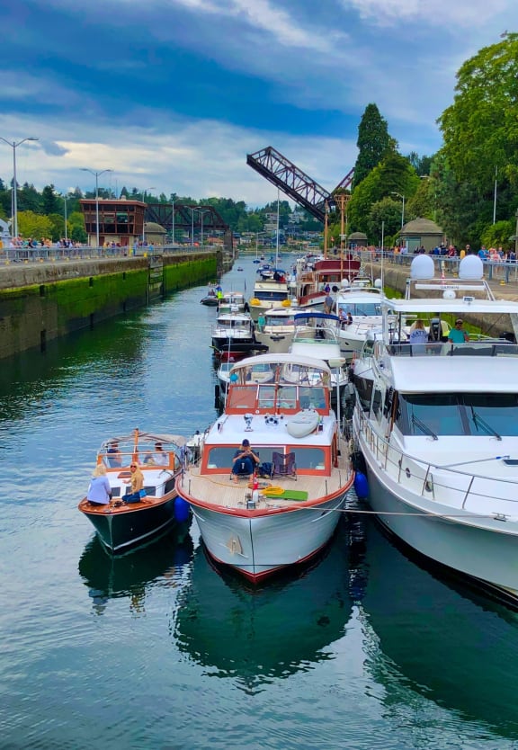 a row of boats docked at a marina on a river at Cadence, Seattle, WA, 98107