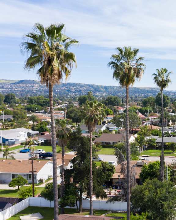 aerial view of west covina and palm trees