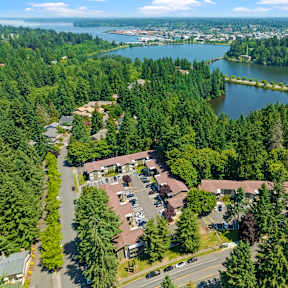an aerial view of a neighborhood with a lake and trees