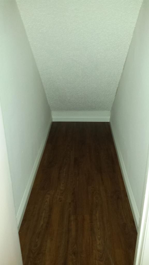 Storage closet under the stairs