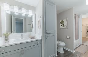 a bathroom with a sink and a shower and a mirror