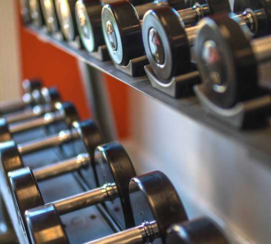 A row of dumbbells are lined up on a rack.