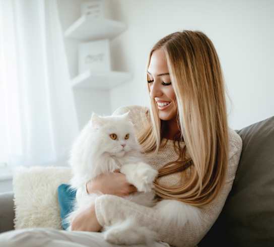 A woman is sitting on a couch holding a white cat.