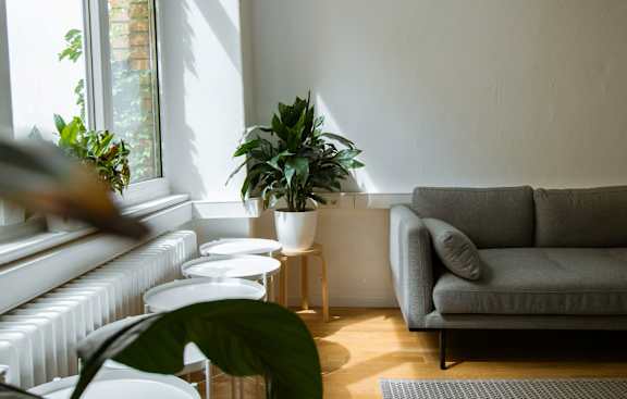 A living room with a grey couch, a white table, and a green plant.