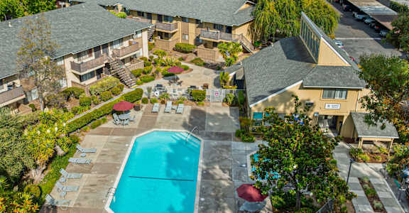 A swimming pool is surrounded by a patio and trees.