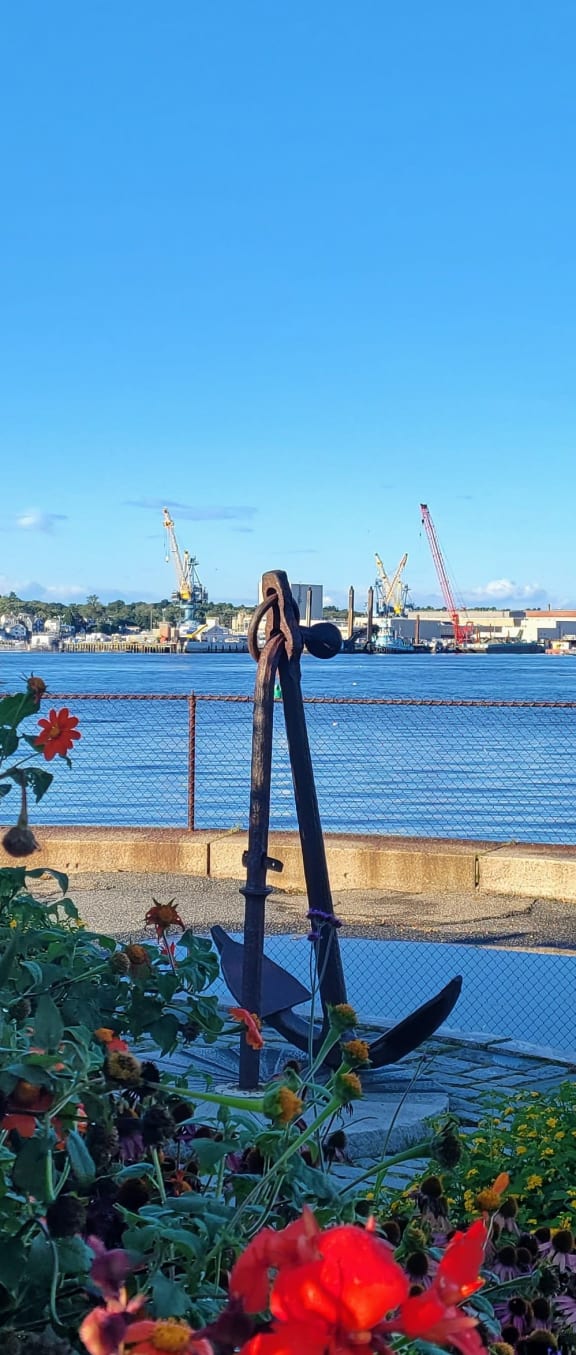 a woman takes a picture of herself in front of a body of water with cranes in