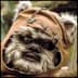 A dog with a hood on its head.