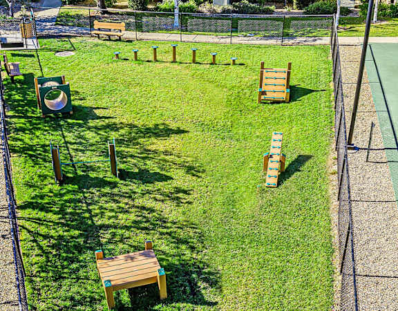 Pet park with exervise stations - Willow Spring Apartments