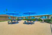 Thumbnail 21 of 25 - Colton, CA Apartments for Rent - Las Brisas Picnic Area with patio chairs, tables, umbrellas, and more