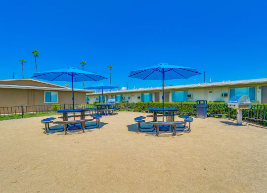 Picnic Area with patio chairs, tables, umbrellas, and more at Las Brisas Apartments, California 92324
