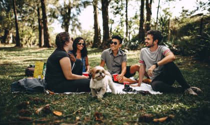 a group of people sitting in the grass with a dog  at Willow Ridge Apartments, North Carolina, 28210