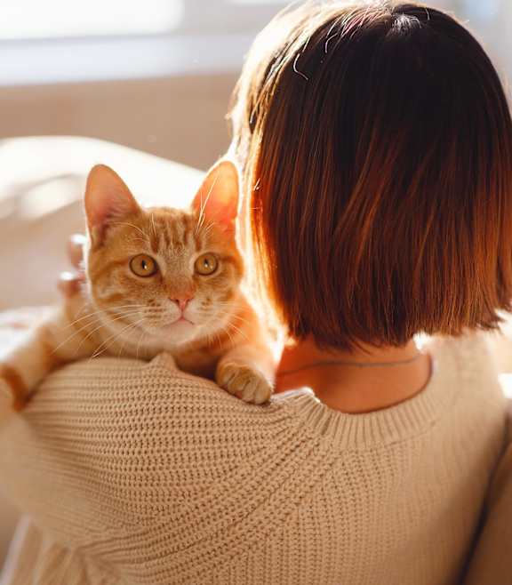 A woman is sitting on a couch with a cat on her shoulder.