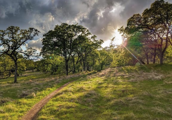 Bidwell Park