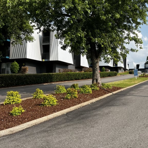 a street with a white building on the left and trees on the right