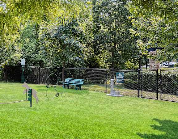 Carrington at Shoal Creek - Dog park with agility equipment