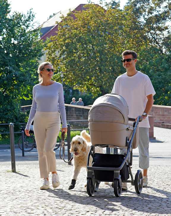 a couple walking a dog and a baby stroller