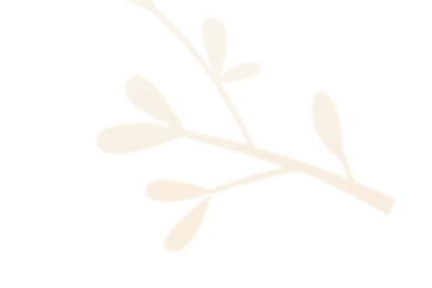 A branch with leaves in a beige tone. at Society 62 Apartments, Oregon