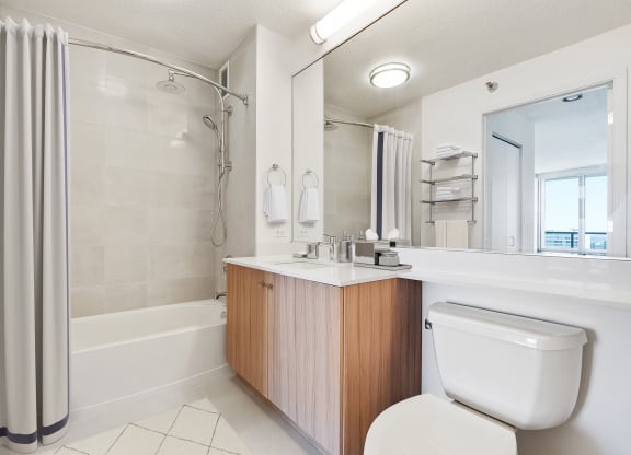 Luxurious Bathroom at Kingsbury Plaza, Illinois