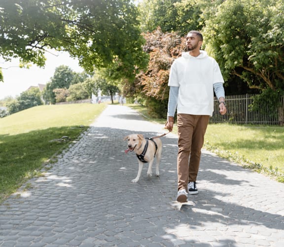 A man walking his dog on a sunny day.