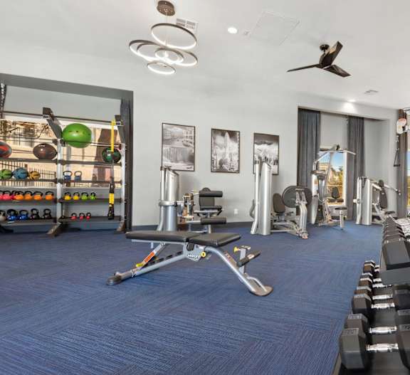 Fitness Studio with Free Weights