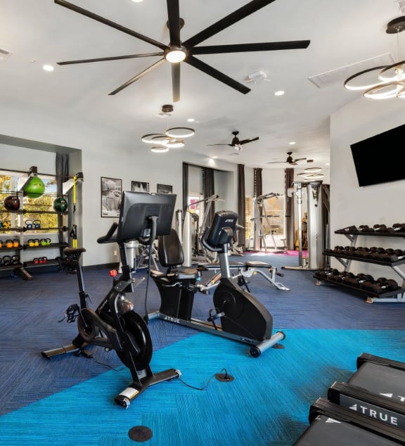 Fitness Studio with Cardio Machine and Exercise Equipment