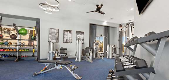 Fitness Studio with Free Weights