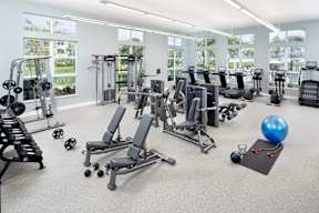 Gym at Everly Luxury Apartments in Naples FL