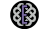 A black square with a white and purple intertwined letter E in the center.