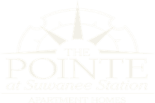 The Pointe at Suwanee Station