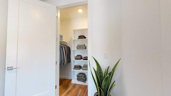 a walk in closet with a plant and a white door