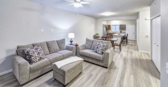 A living room with a grey sofa and a grey couch.