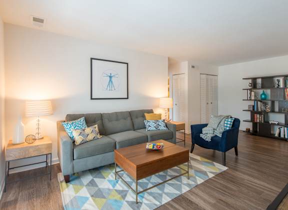 A living room with a grey couch, a blue chair, a coffee table, and a bookshelf at Amberleigh, Virginia