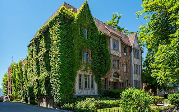 A building with a large amount of ivy growing on it.