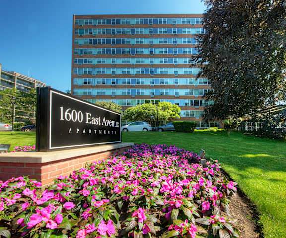 a grassy area with flowers and a large building in the background