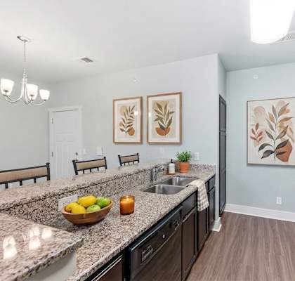 A kitchen with granite countertops and a bowl of fruit on it.