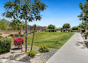 Thumbnail 3 of 6 - A residential area with a sidewalk and a grassy area.