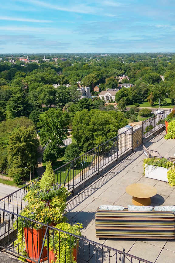 A rooftop garden with a view of the city.