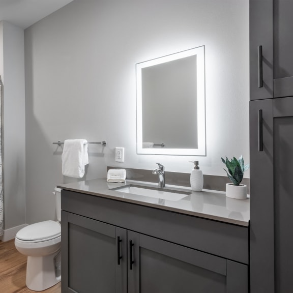 a bathroom with a sink and a toilet and a shower