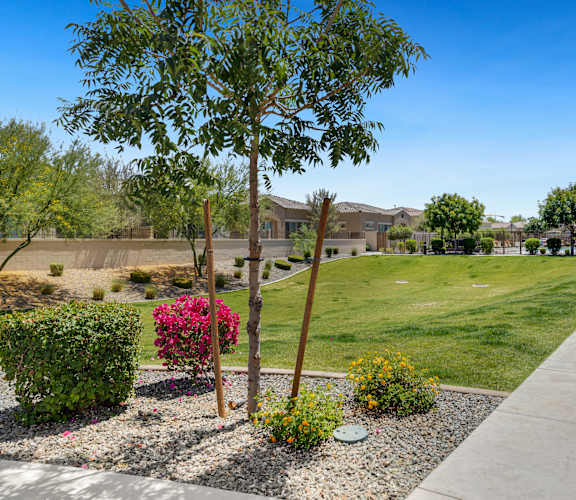 A residential area with a sidewalk and a grassy area.