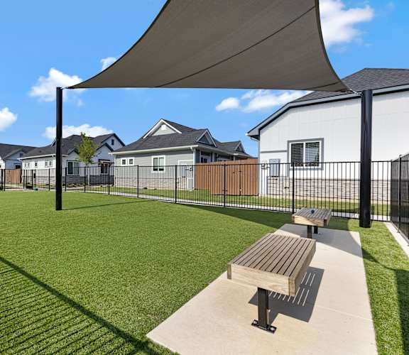 A park with a bench and a shade structure.