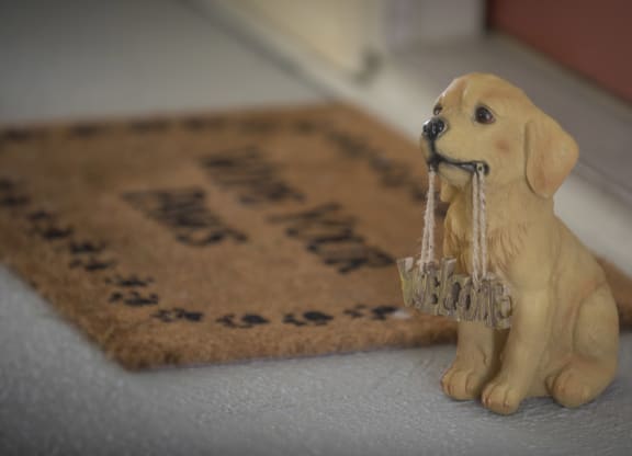 Pet-Friendly Community