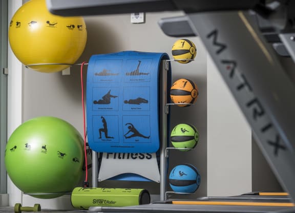 Strength Training Equipment