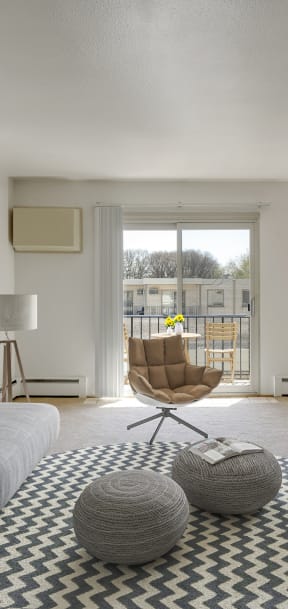 a living room with a gray couch and a black and white rug at Hamline Terrace, Roseville, Minnesota
