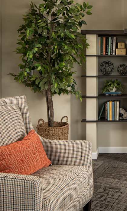 A living room with a fireplace, a chair, a couch, and a tree.