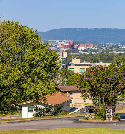 A residential area with houses and a view of the city in the distance.