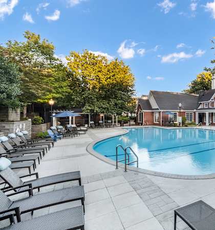 A large outdoor swimming pool surrounded by lounge chairs and trees. at The Estates at Brentwood, Brentwood, TN, 37027