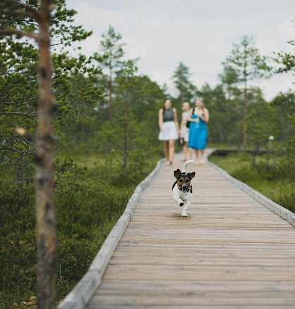 two women and a dog walking on a wooden dock