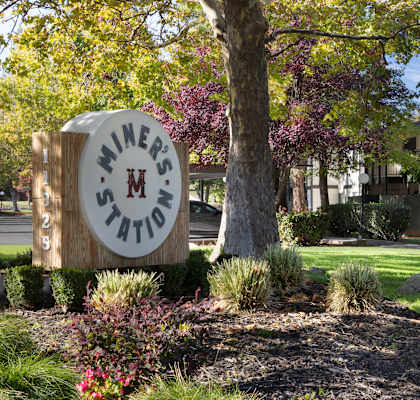 A sign for Miners Station sits in front of a tree.